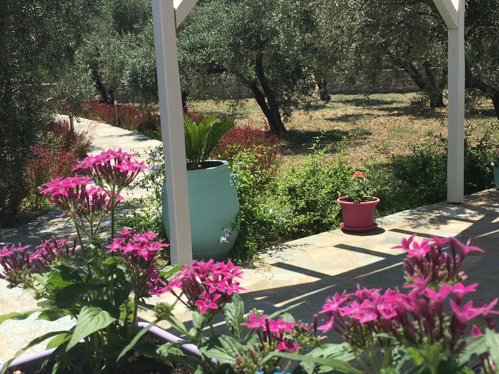 Chiqui Luxury Apartments Alónnisos Kültér fotó